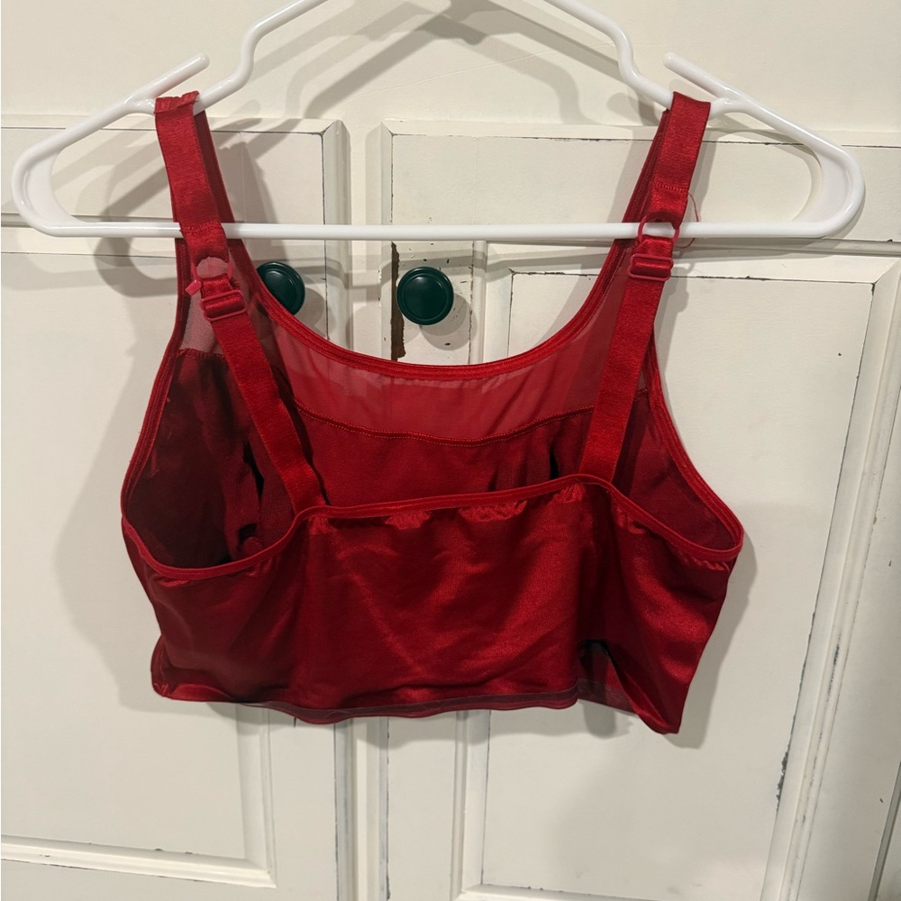 Ruby Ribbon Demi Size 40 - Picture 2 of 4